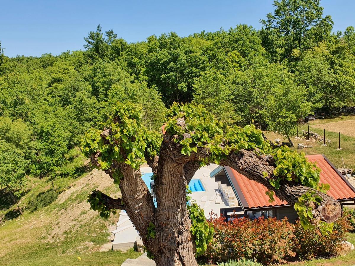 Готель Casa Dei Boscarini Бує Екстер'єр фото